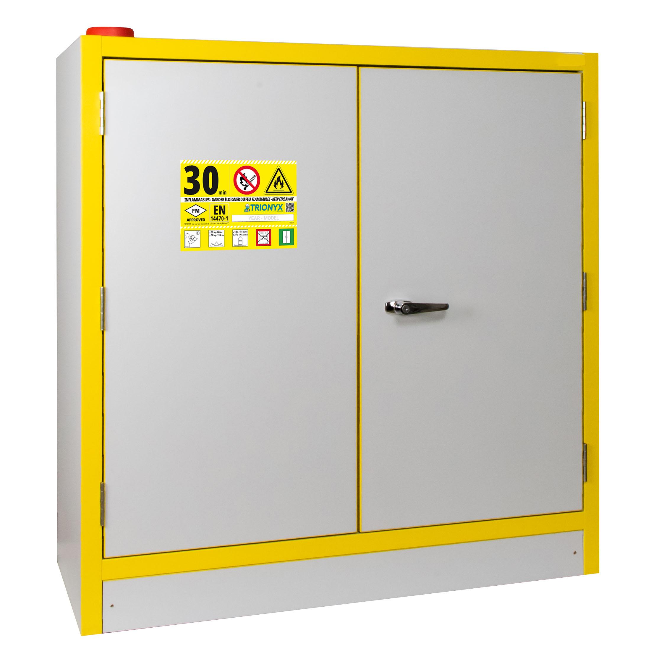 ARMOIRE DE SECURITE 30 MIN 30L