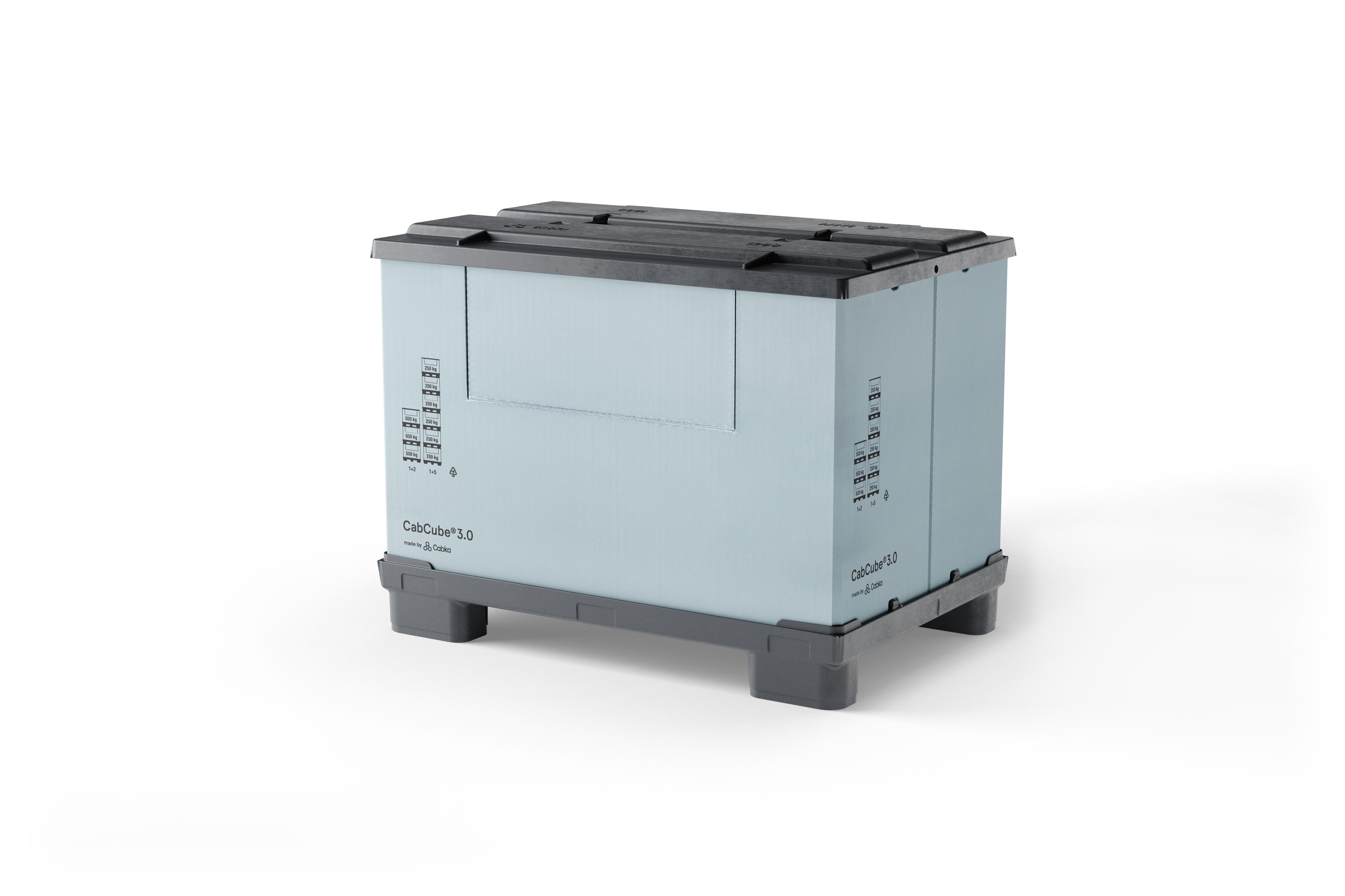 CAISSE PALETTE PLIABLE AVEC PORTE CHARGE 500 KG