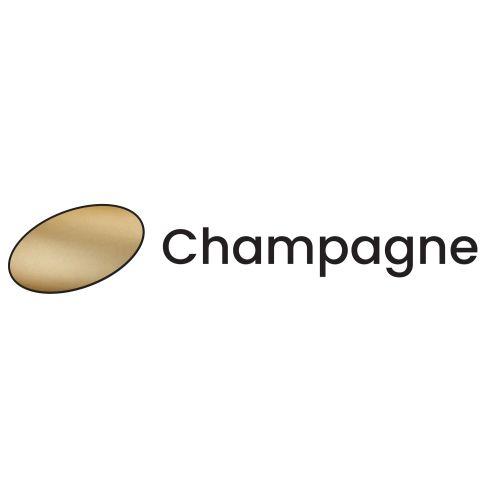 Ensemble double bequille sur plaque HIONNA - Alu - Champagne - Condamnation