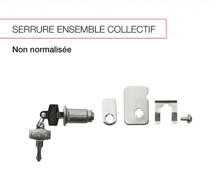 Serrure pour boites aux lettres collectives normalisées (porte individuelle)