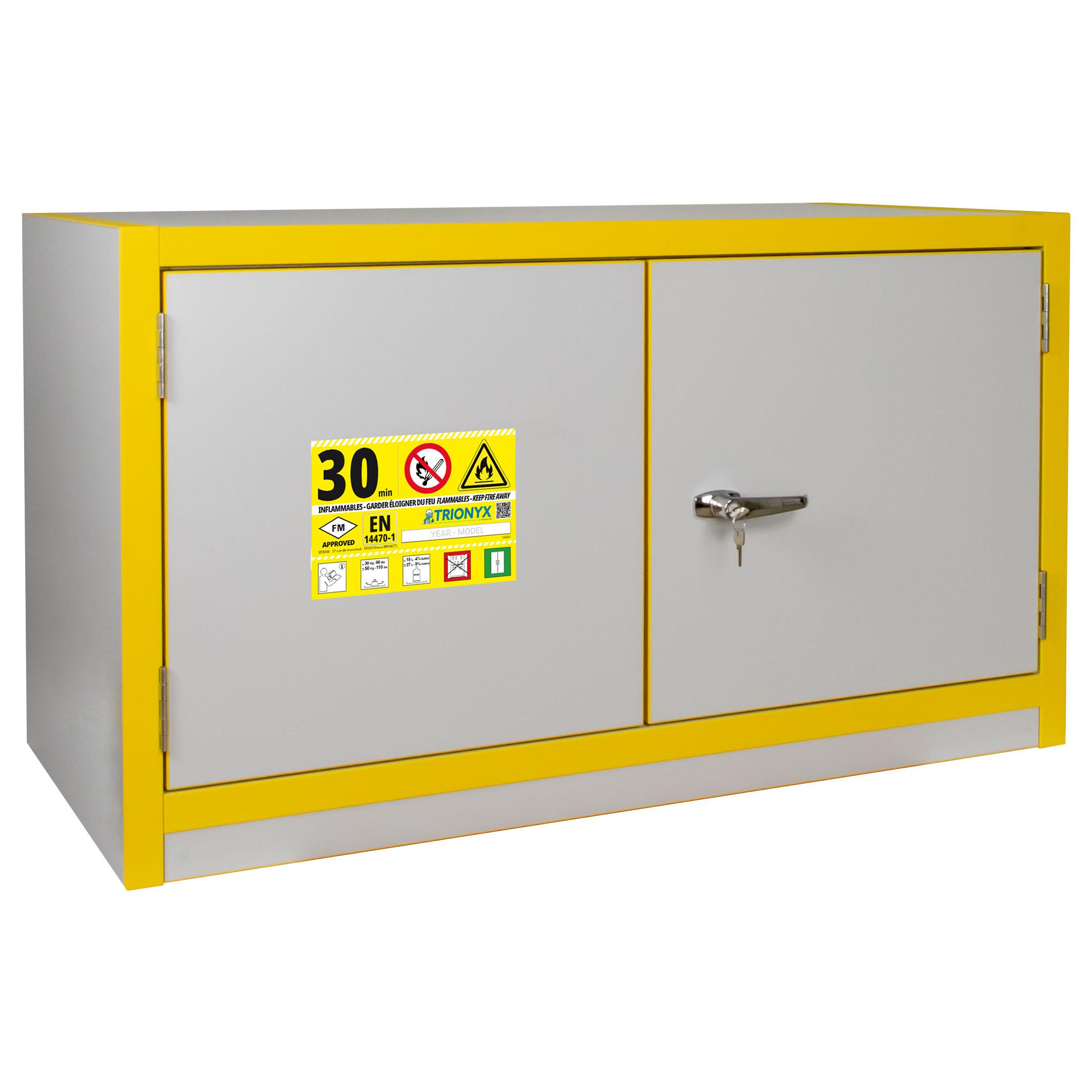 ARMOIRE DE SECURITE 30 MIN 30L