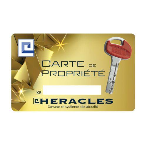 HERACLES C2KDRR537GXC5 cylindre à double entrée 33 x 33 mm à roue dentée 10 dent