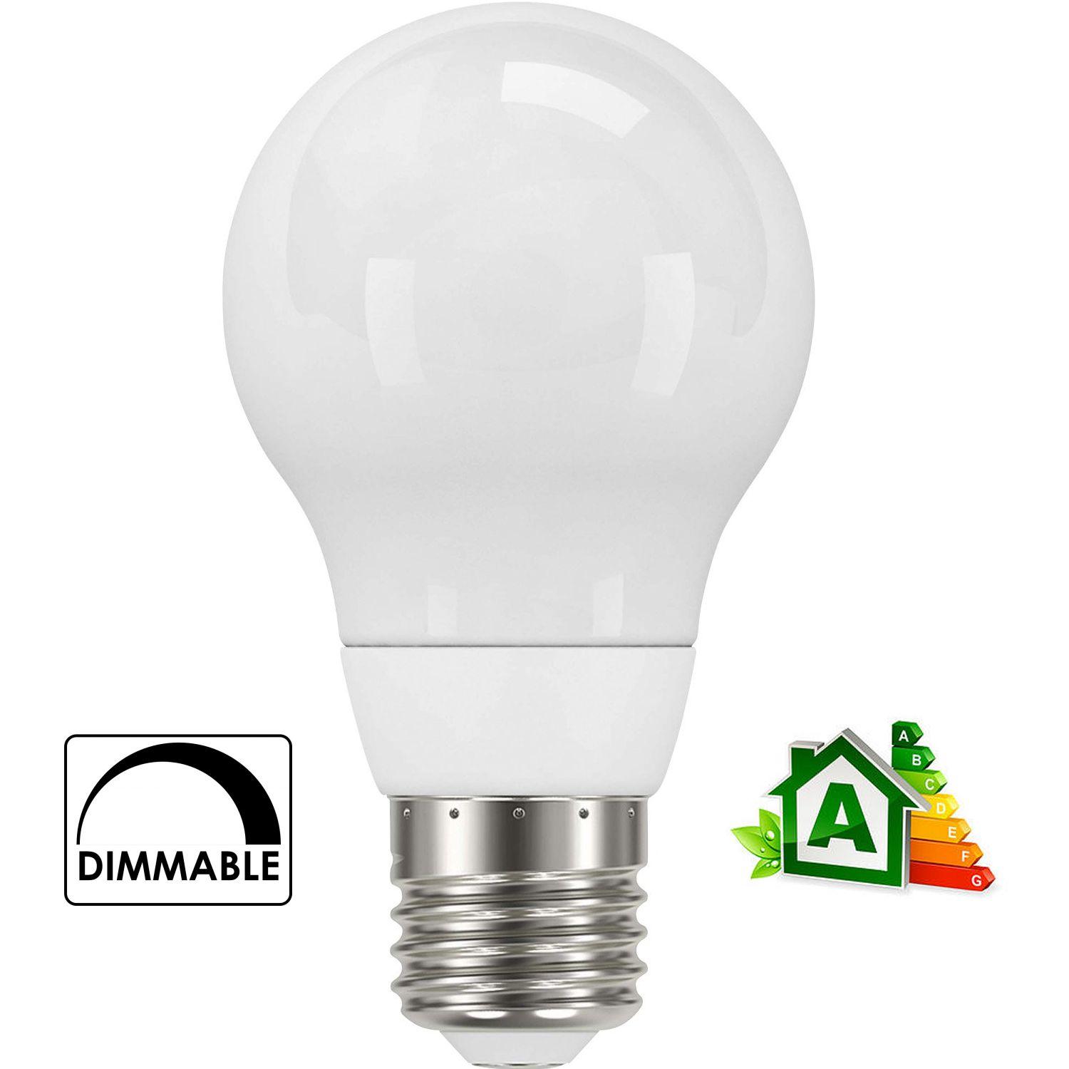 AMPOULE LED 230V STANDARD Type BULB Culot E27 - FINITION DEPOLIE - DIMMABLE
