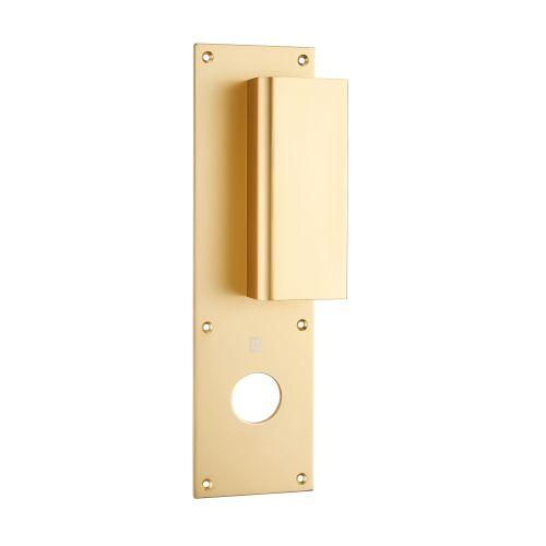 Poignée palière sur plaque BASTILLE 70 x 250 MM - Alu. - Champagne - Trou 30 MM