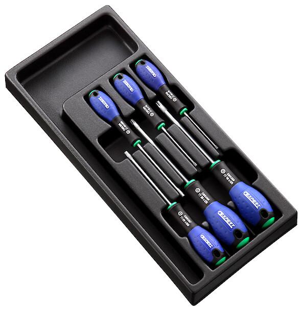 MODULE 6 TOURNEVIS TORX