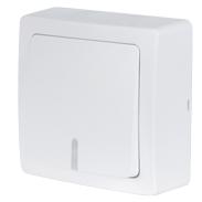 BOUTON POUSSOIR 10A - 250V