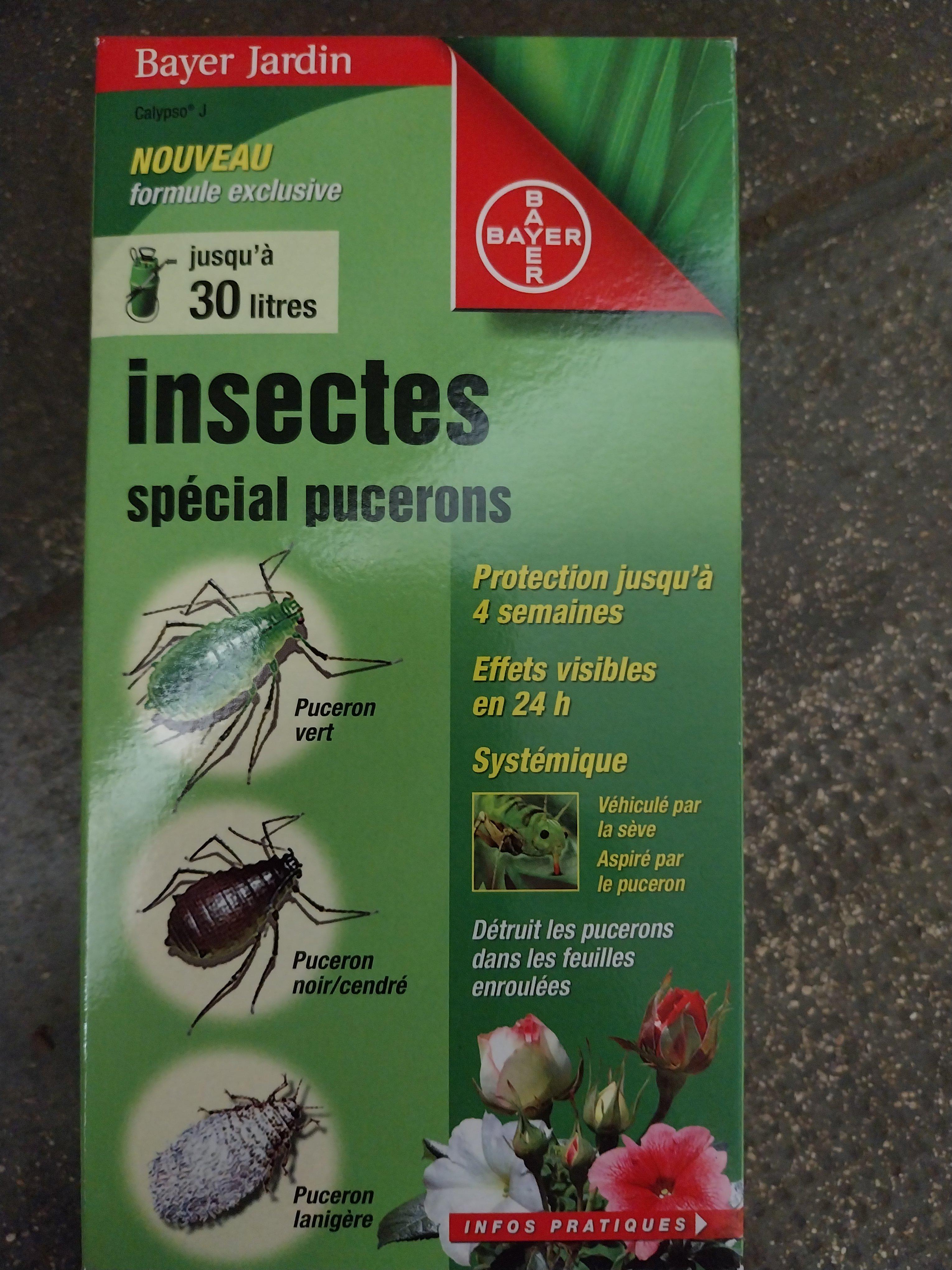 INSECTICIDE PUCERONS SYSTEMIQ.