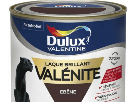 LAQUE SATINEE VALENITE 2 L